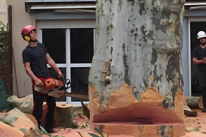 Abattage d'arbres Saint-Médard-en-Jalles