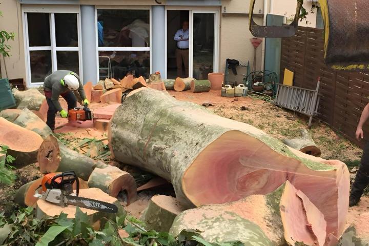 Dessouchage Saint-Médard-en-Jalles