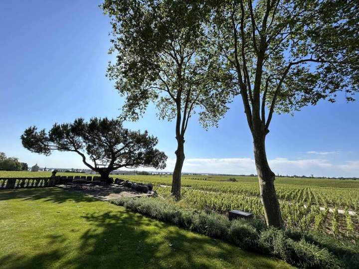 Dessouchage Saint-Médard-en-Jalles