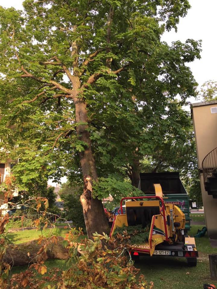 Dessouchage Saint-Médard-en-Jalles