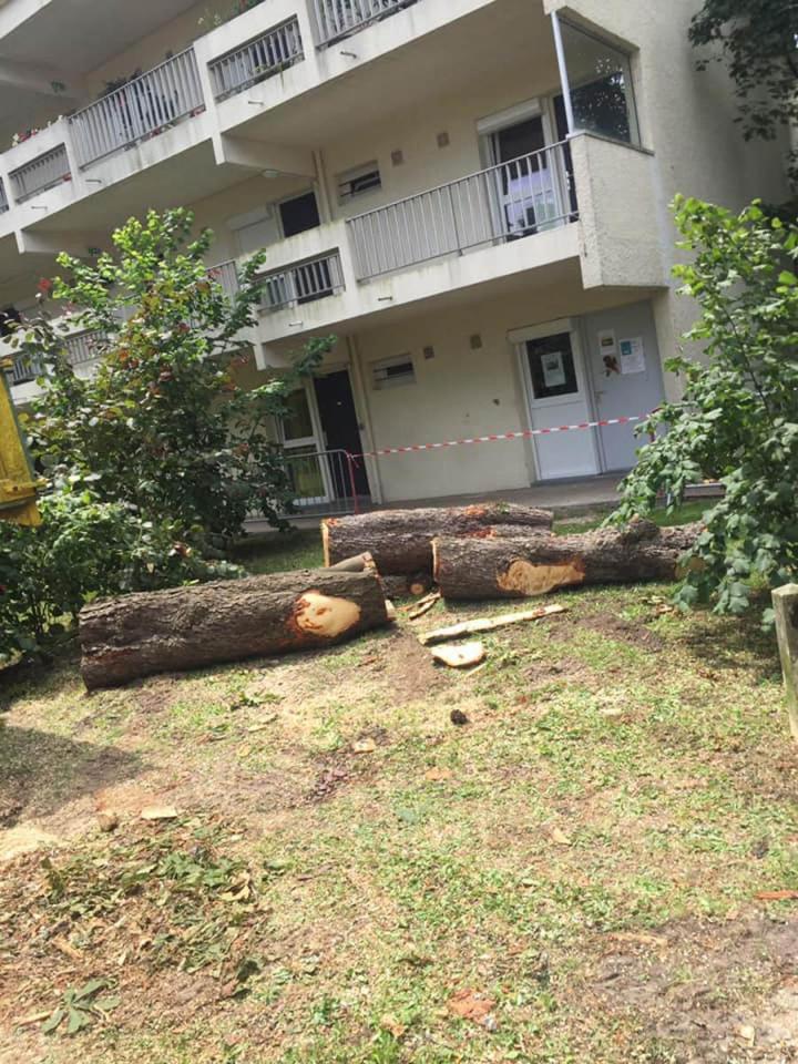 Enlèvement des souches  Saint-Médard-en-Jalles