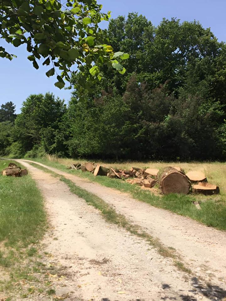 Dessouchage Saint-Médard-en-Jalles
