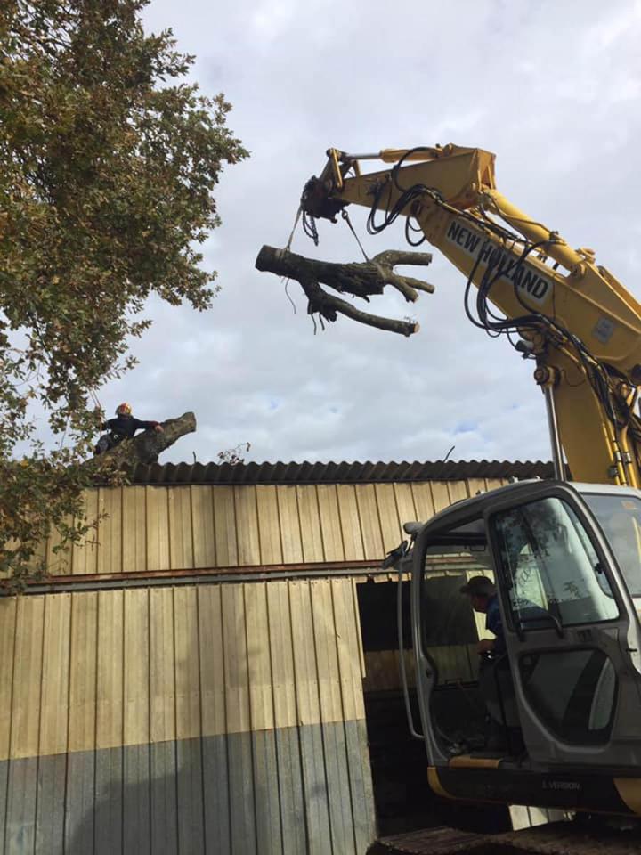 Enlèvement des souches  Saint-Médard-en-Jalles